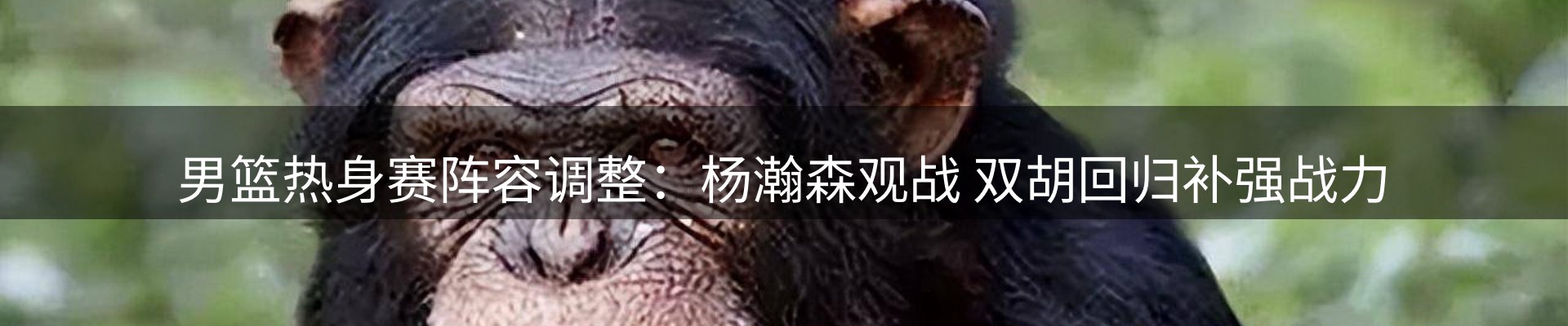 综合资讯