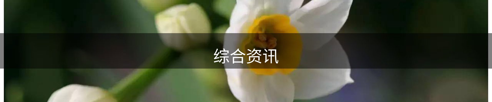 综合资讯